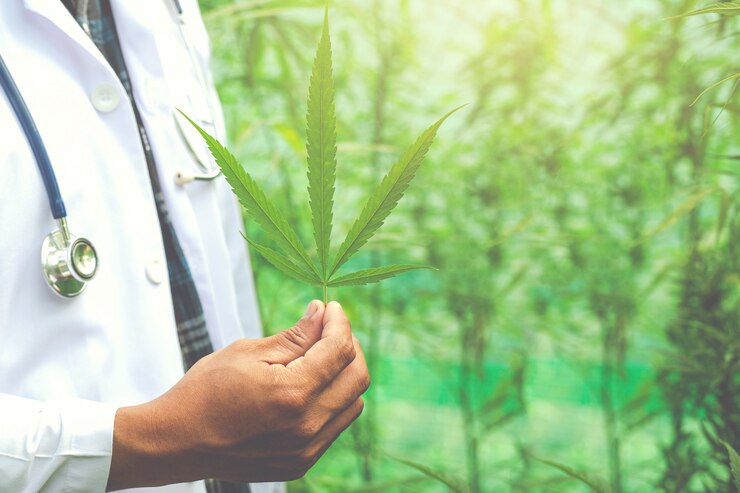 Challenges Faced By Medical Cannabis Doctors