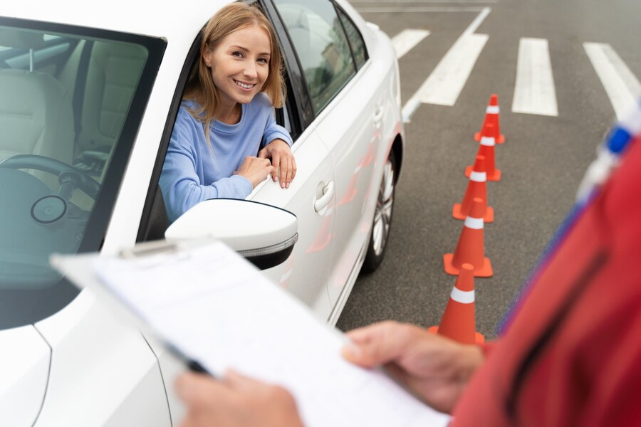 Understanding the Driver's Test Process