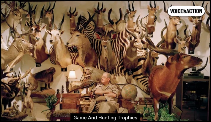 Game And Hunting Trophies