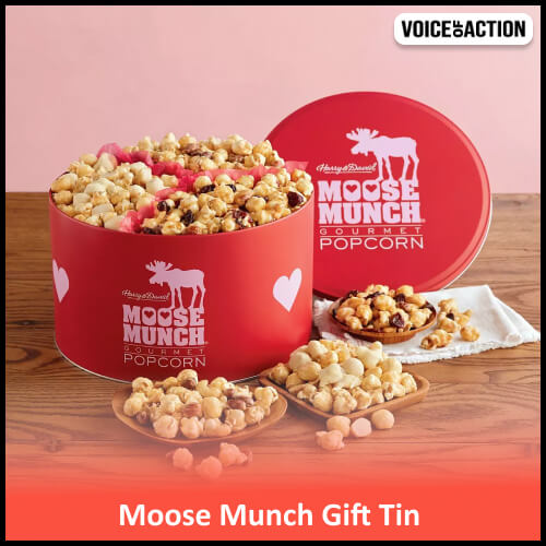 Moose Munch Gift Tin