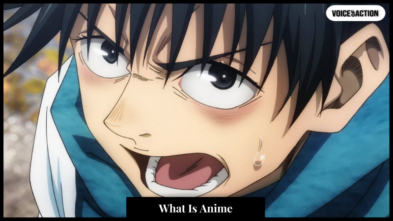 What Is Anime? 
