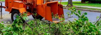 Benefits Of Tree Mulcher Services