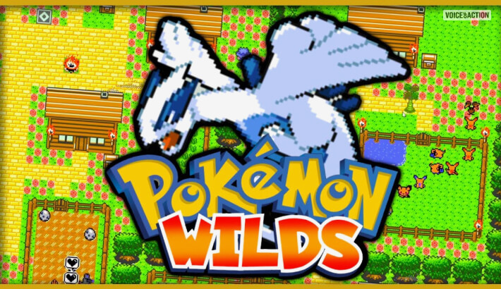 Pokemon Wilds