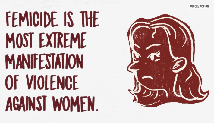 femicide meaning