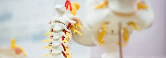 Navigating The Curves Solutions For Scoliosis
