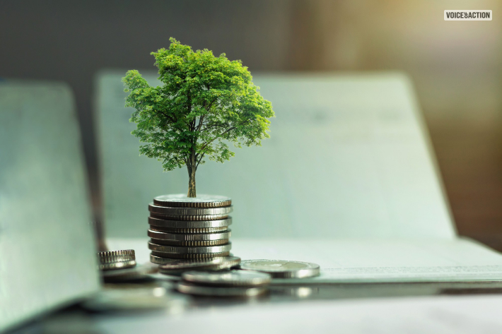 Accessing The Risks & Opportunity Of Green Finance
