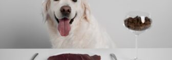 Dog raw meat