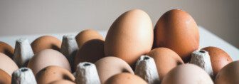 what are vegan eggs made of